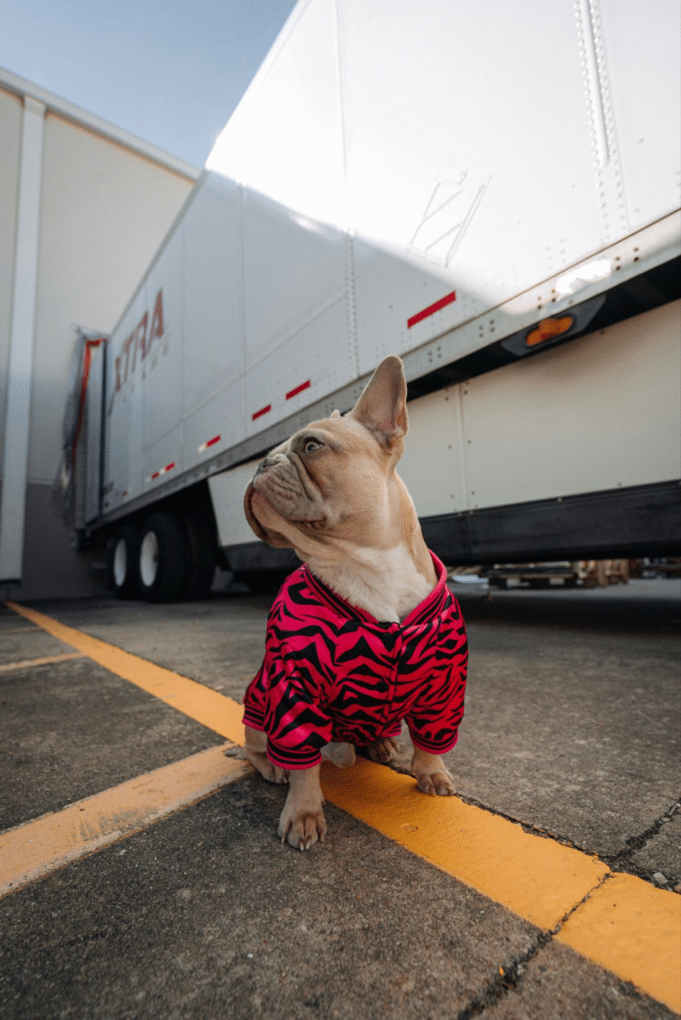 Top 9 Trucking Companies in Philadelphia for I-95 Corridor Freight